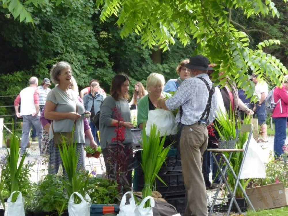 Specialist plant fair at Rode Hall on Sunday (Photo: Rode Hall)