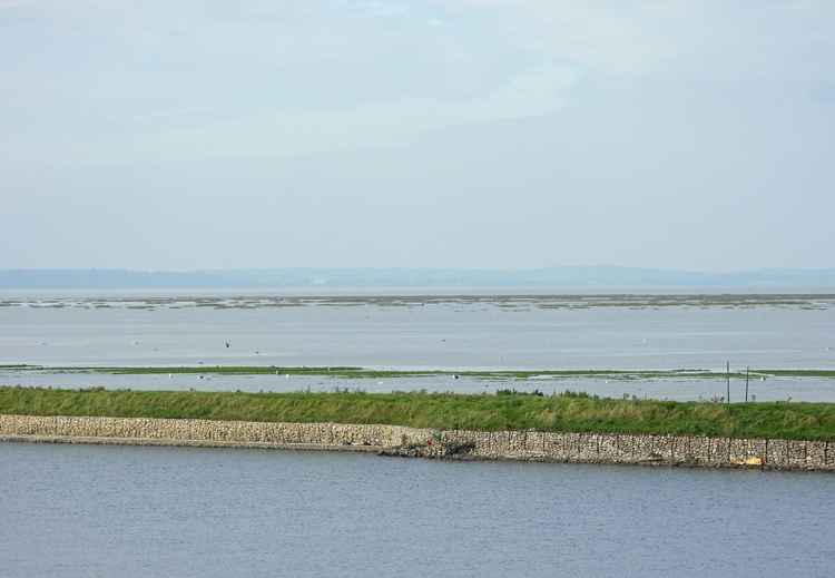 Frodsham Score Saltmarsh by Paul Ralston (Frodsham Marsh Bird Blog)