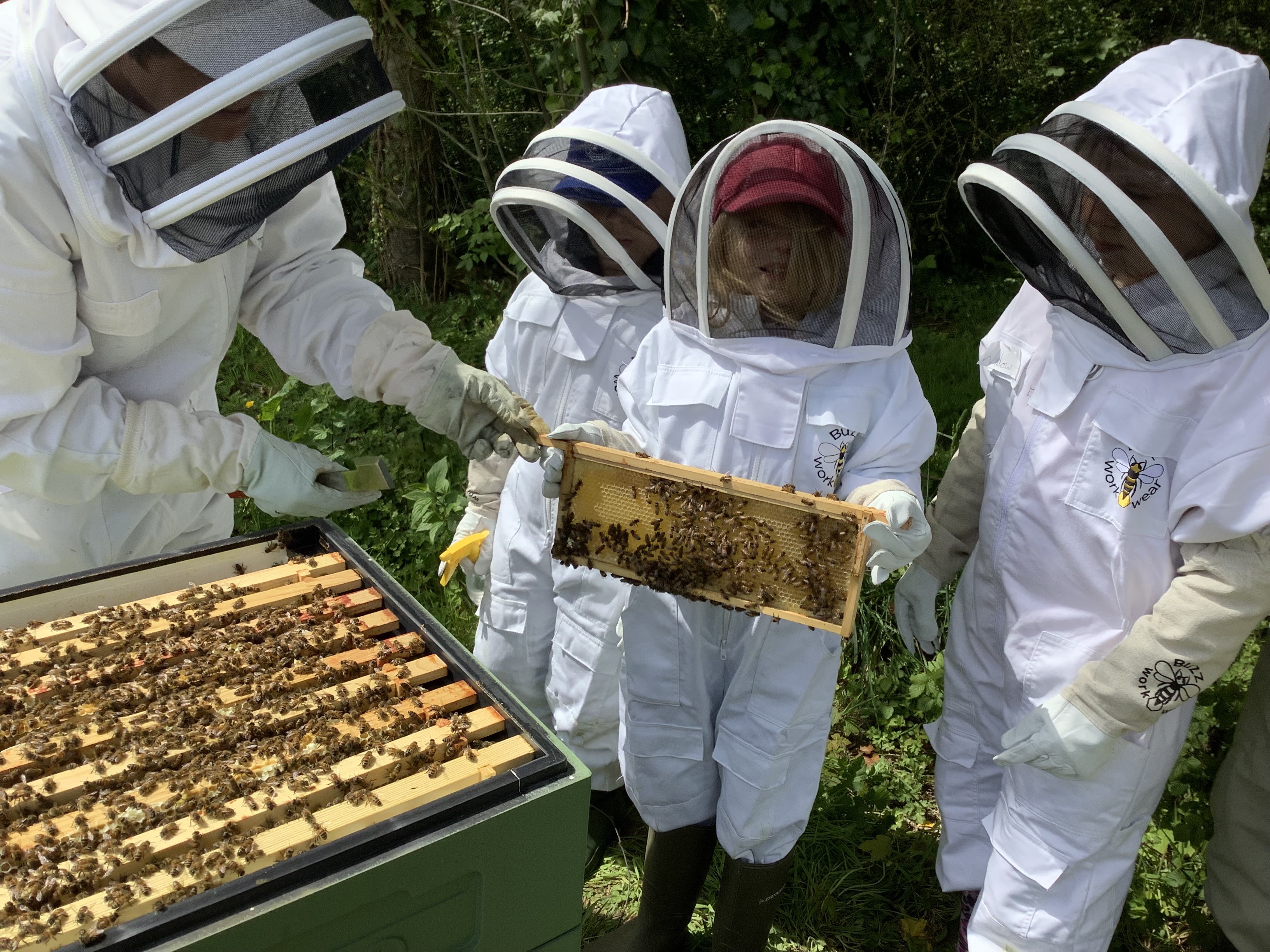 The young beekeepers at Symondsbury Primary School