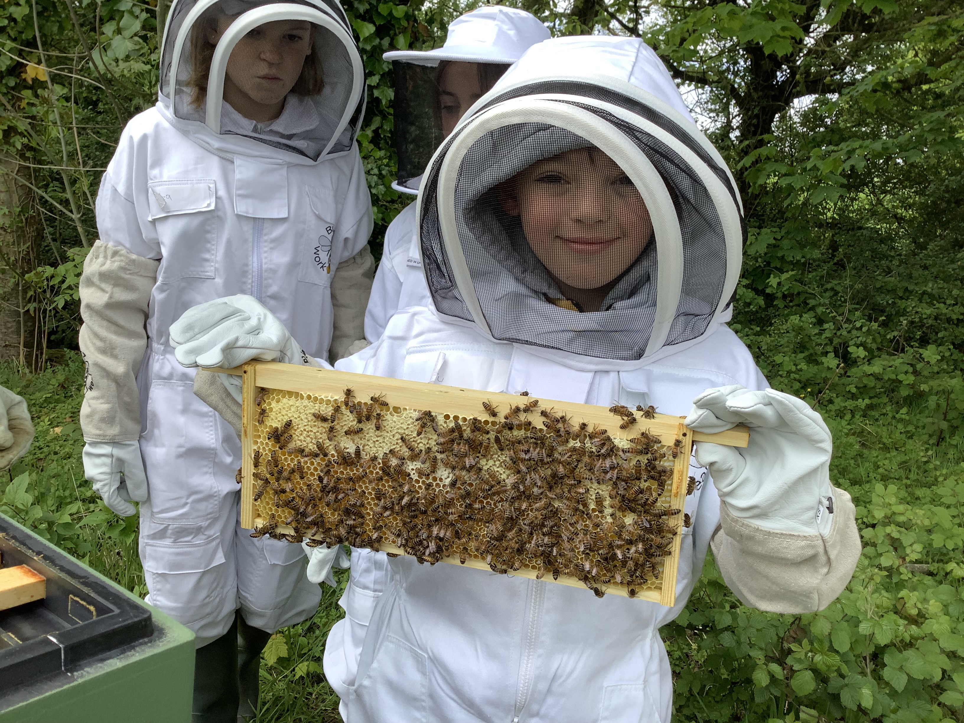 The young beekeepers at Symondsbury Primary School