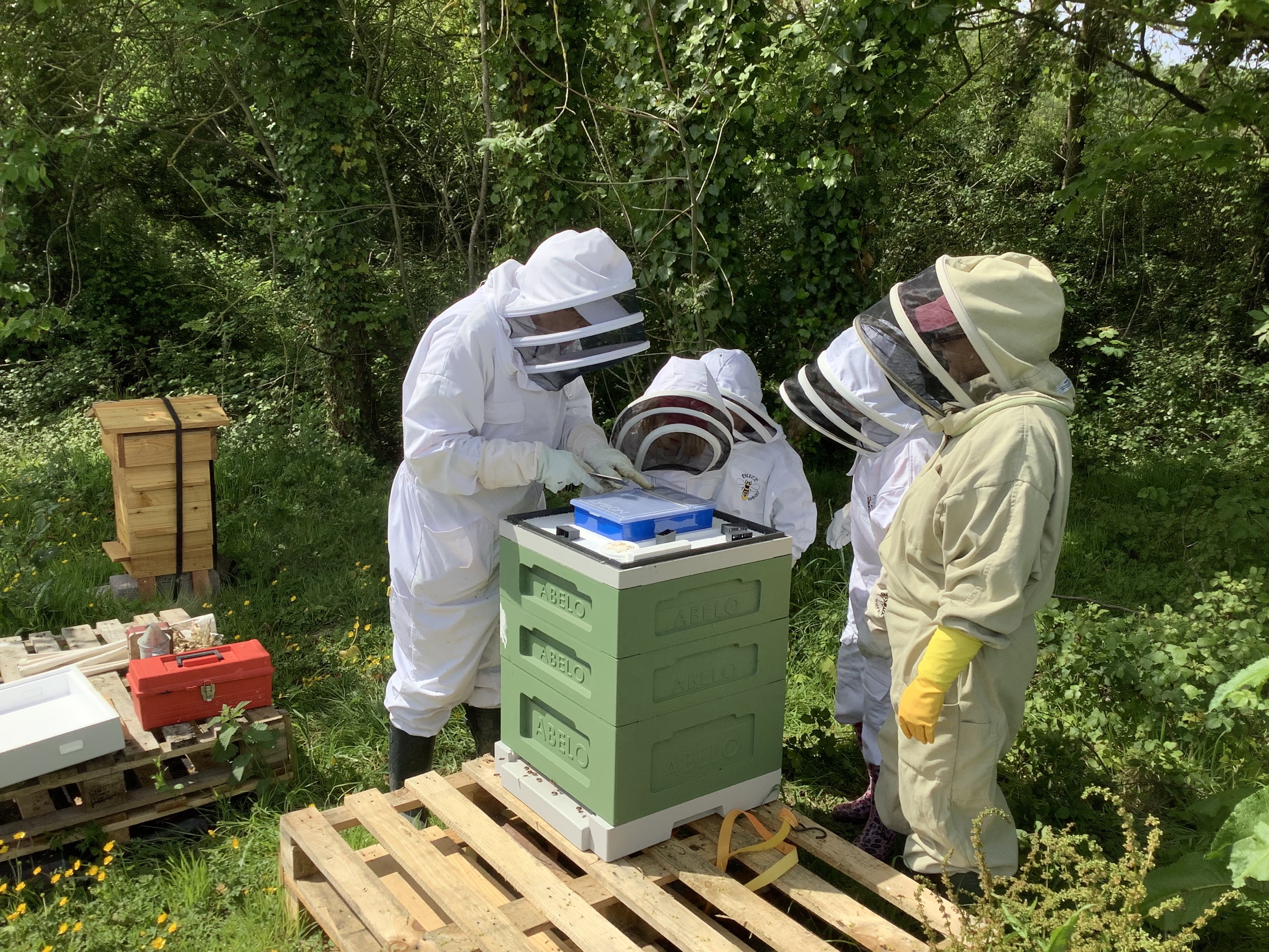 The young beekeepers at Symondsbury Primary School