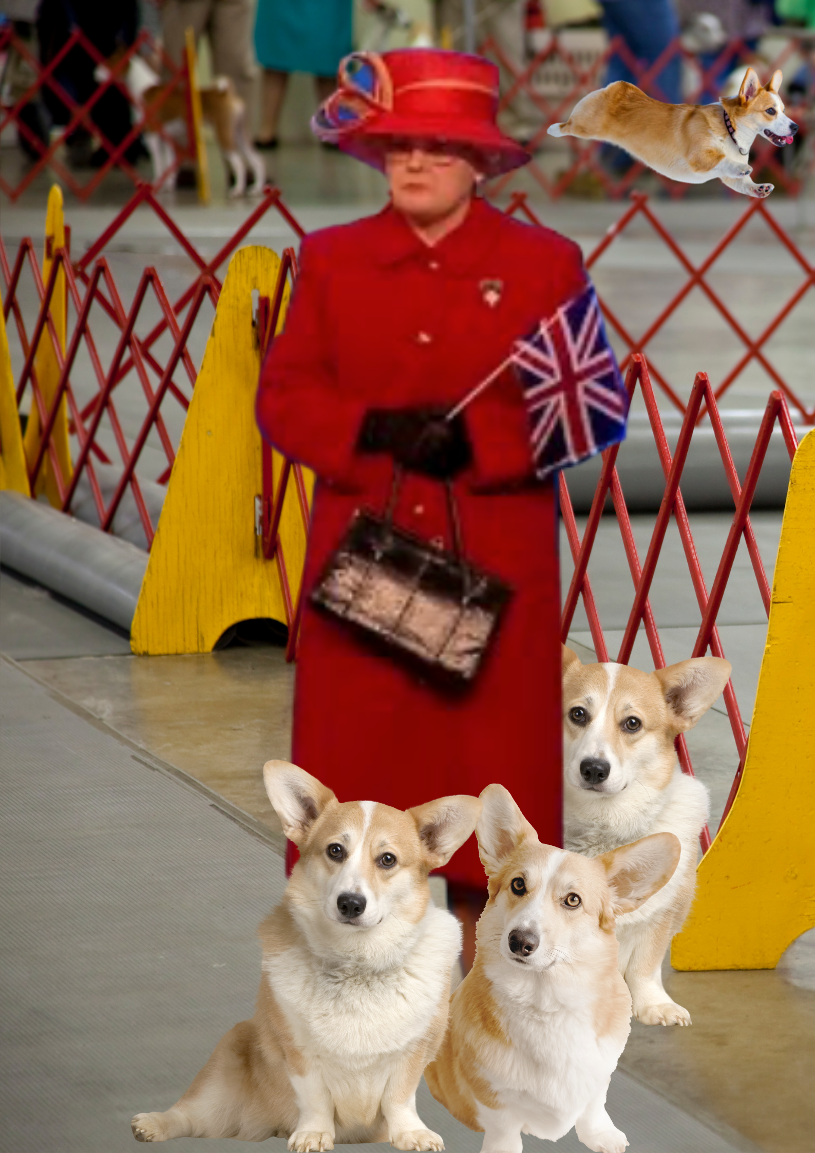 Rare Species as the Queen and her corgis