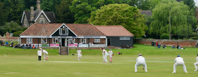 Hadleigh cricketers fall short (Picture credit: Nub News)