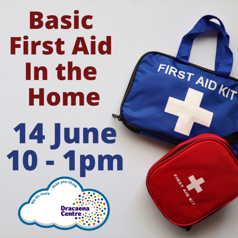 Basic First Aid in the Home.