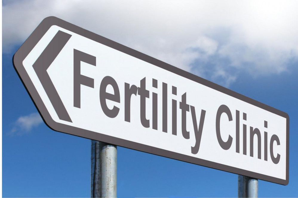 Kingston upon Thames has been ranked sixth in a league table indicating accessibility to fertility services. 