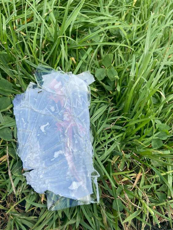 Dangerous objects in grass