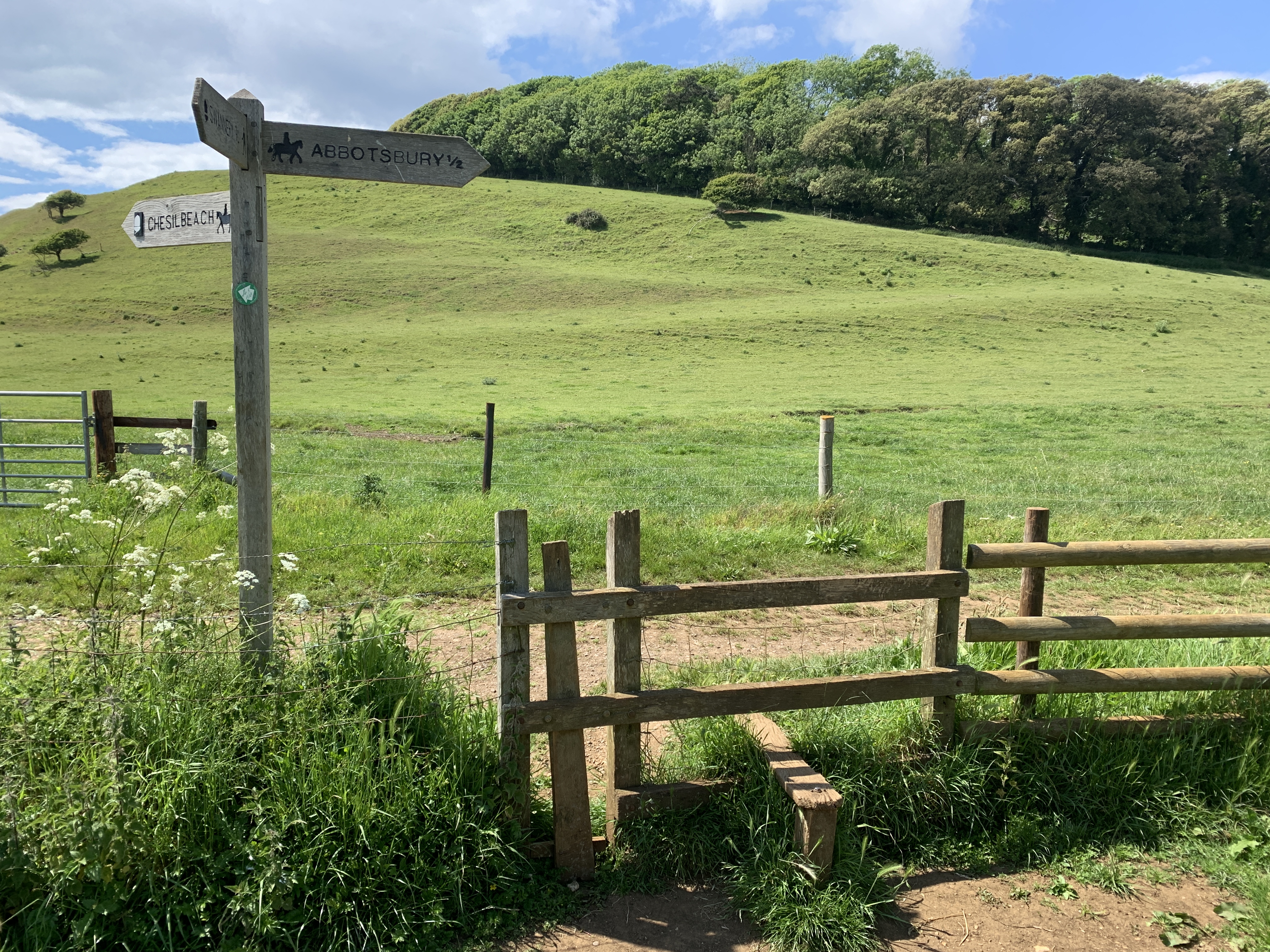 Go over the stile and turn right