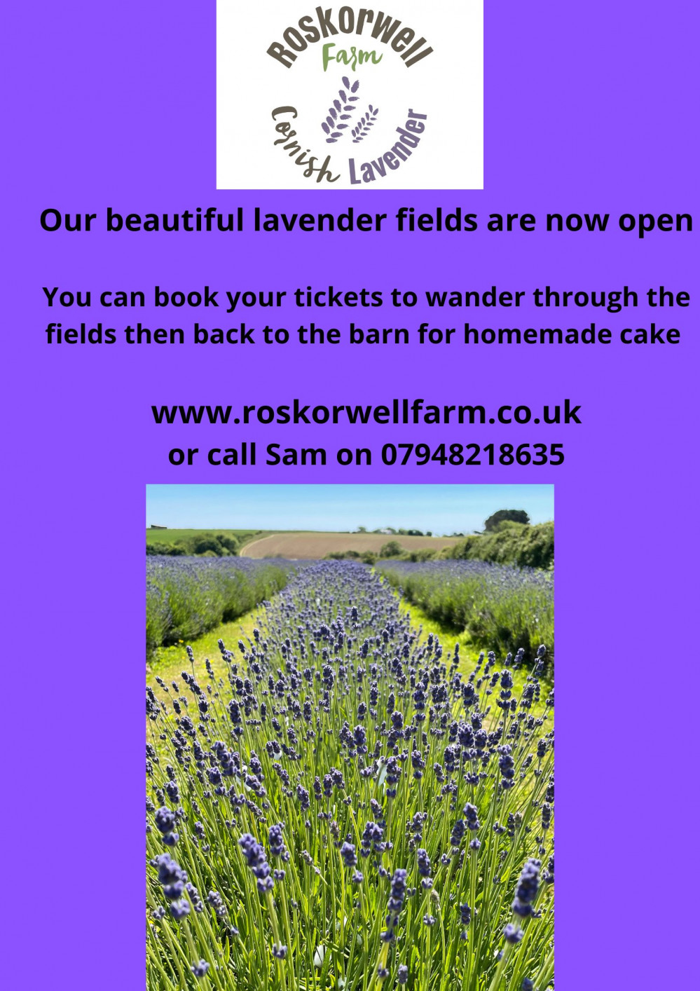 Roskorwell Farm Cornish Lavender.