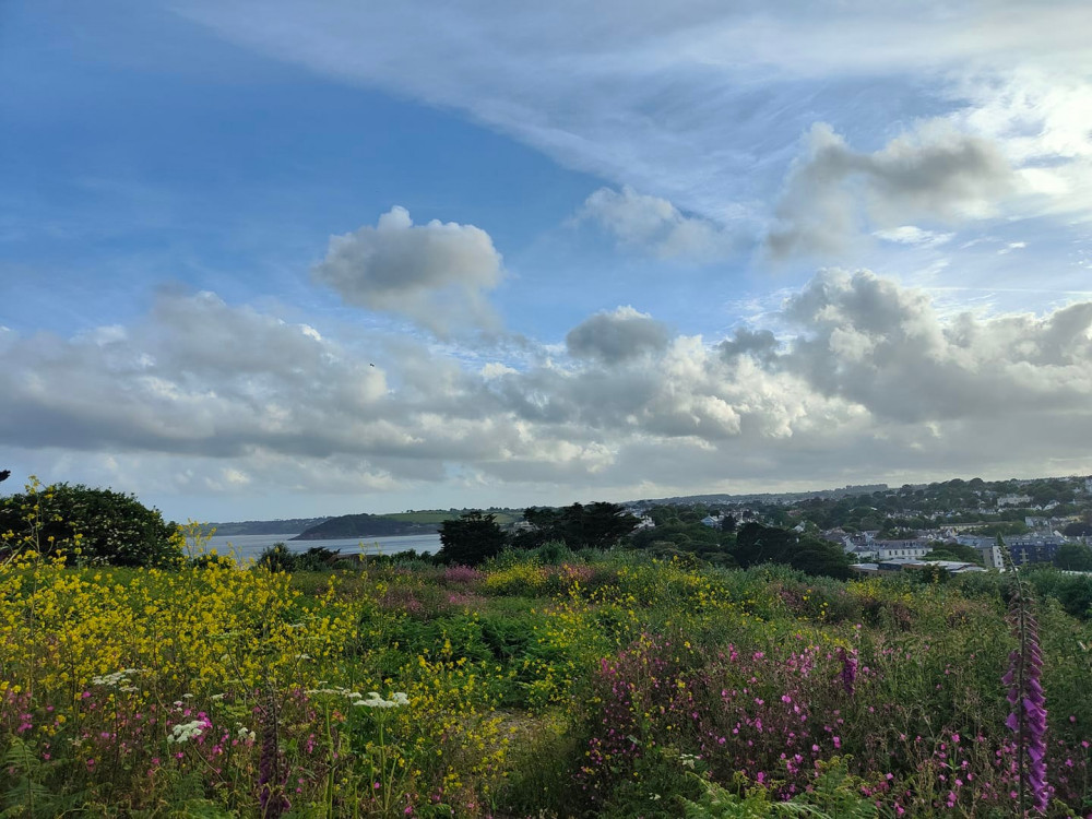 Pendennis Picnic.