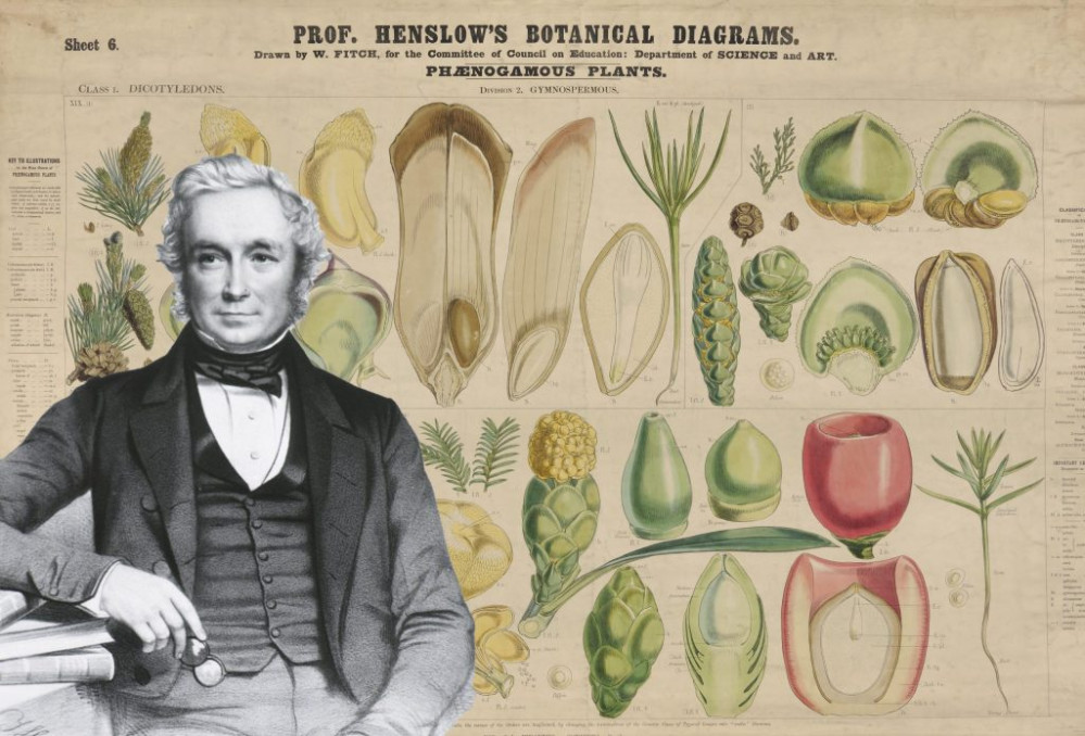 John Stevens Henslow [Credit: Food Museum]