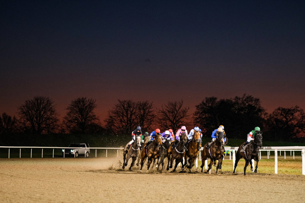 Horses racing at night (Photo: Farleigh Hospice)