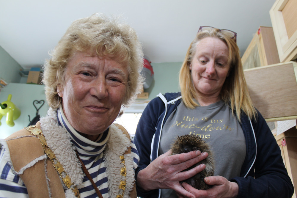 Cllr Gartside at the hedgehog rescue centre 