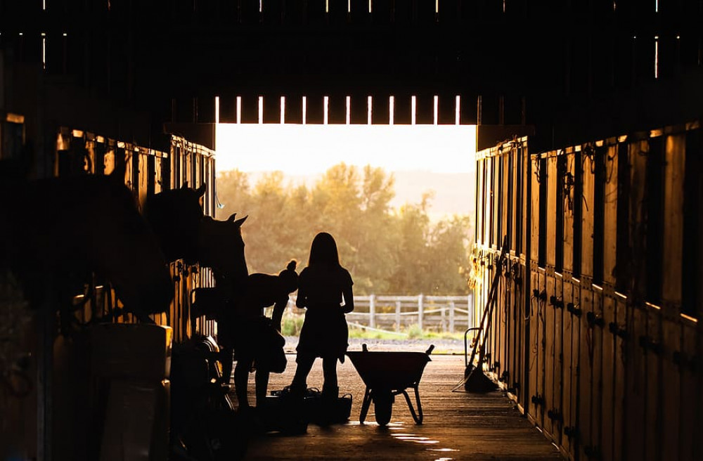 Kenilworth Town Council's planning committee had voted against the original stables plan