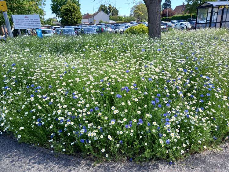 Hadleigh car park in Magdalen Street (Picture credit: Hadleigh Nub News)