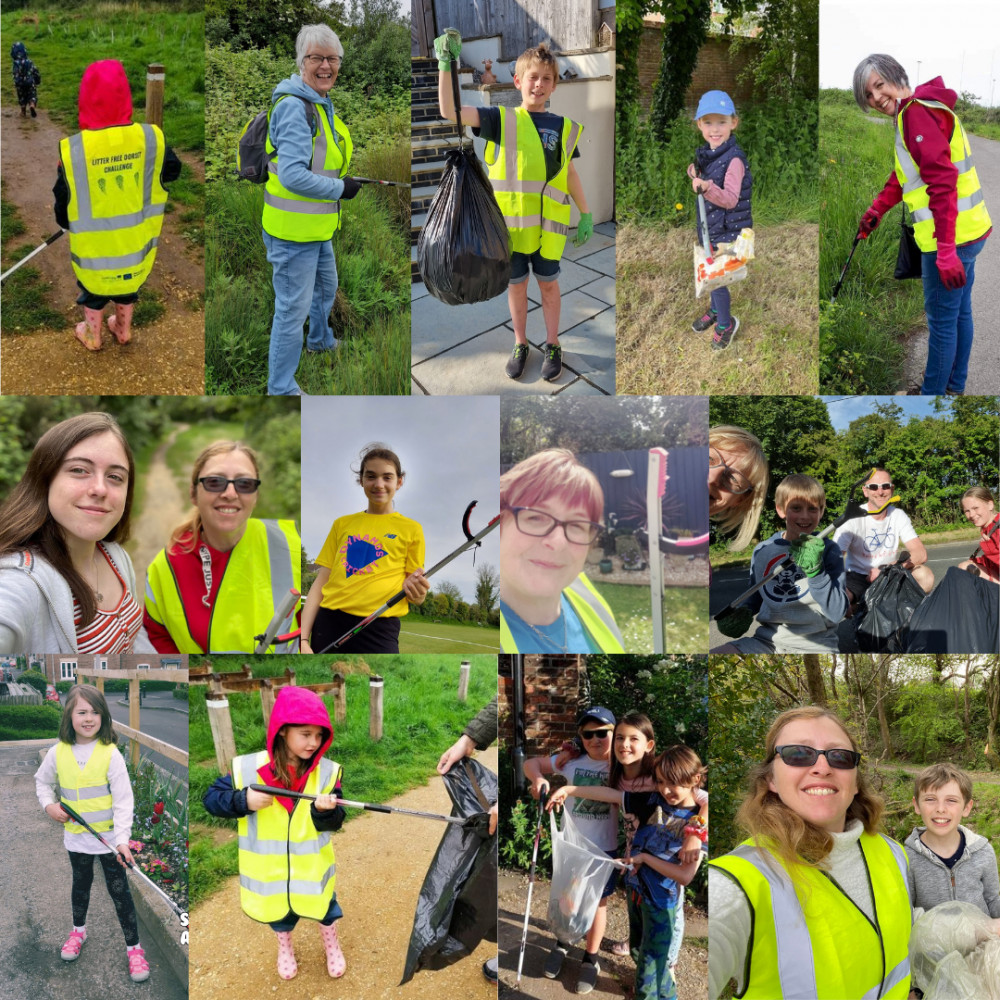 The Litter Free Dorset Challenge had 177 people take part and collect 1,200kg of rubbish from Dorset's streets, greenspaces and beaches