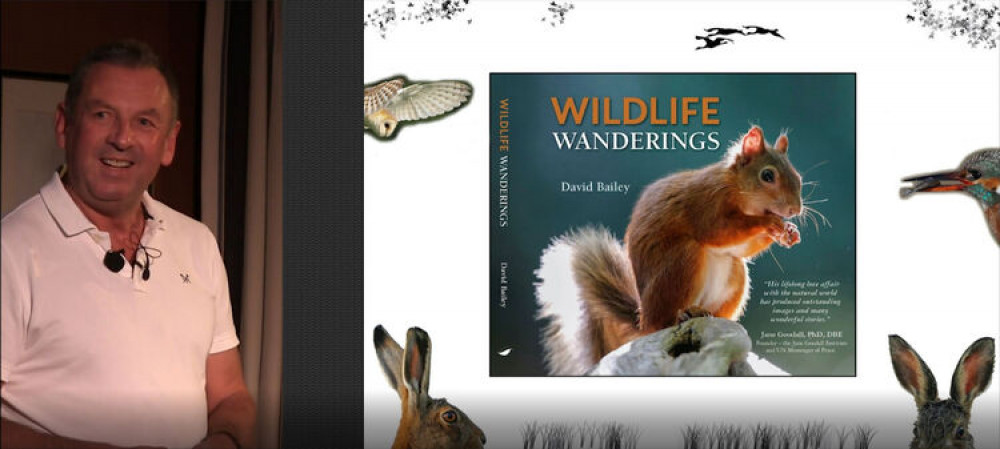 Talk by David Bailey: Wildlife Wanderings