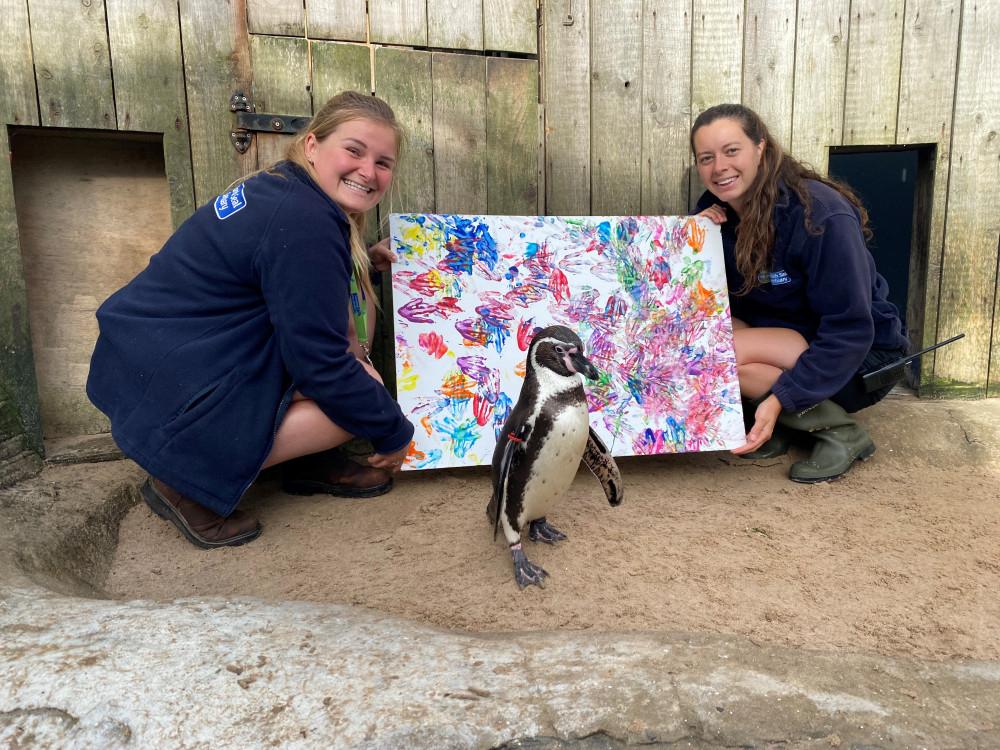 Squidge shows off his artwork at Cornish Seal Sanctuary, Gweek.