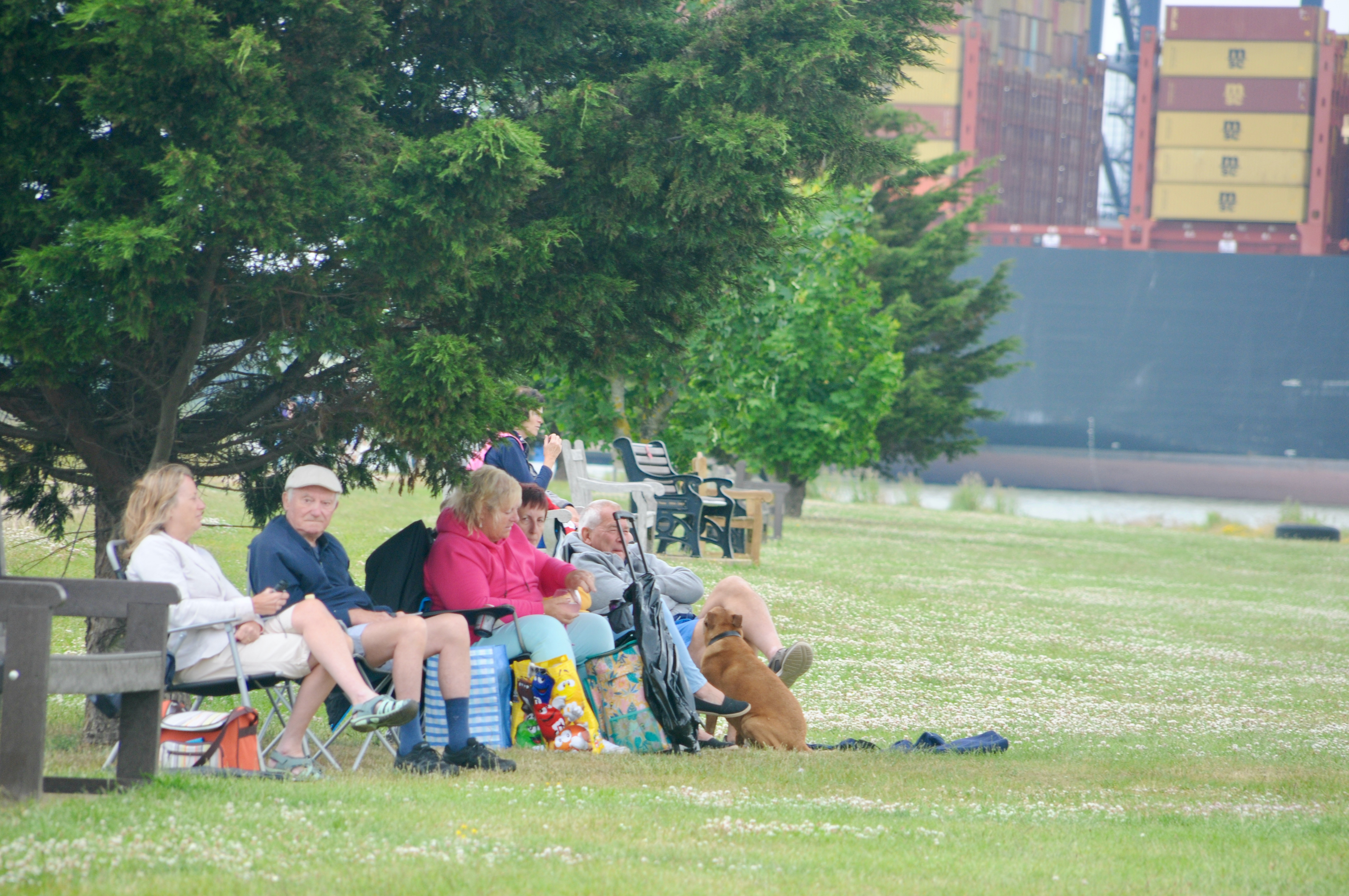 Picnic time (Picture credit: Peninsula Nub News)