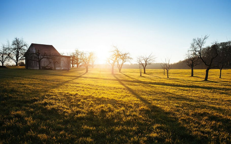 Warwick District Council has turned down a retrospective planning application for an agricultural building at Dunn Pitts Farm