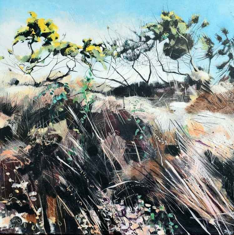 'Gorse Up on the Bank'. Image: Sophie Parr - Contemporary Landscape Painter