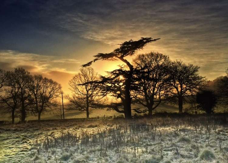 Matin Neill top nine photographs: Frost sunrise