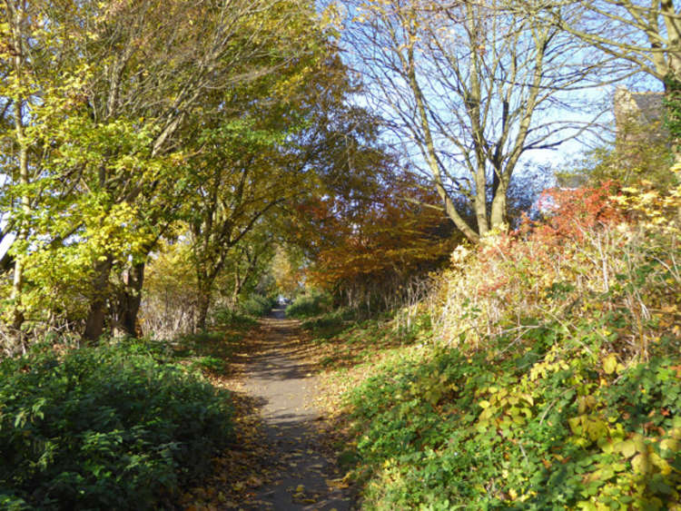 Hadleigh Railway Walk - Credit: Robin Webster - geograph.org.uk/p/5605032