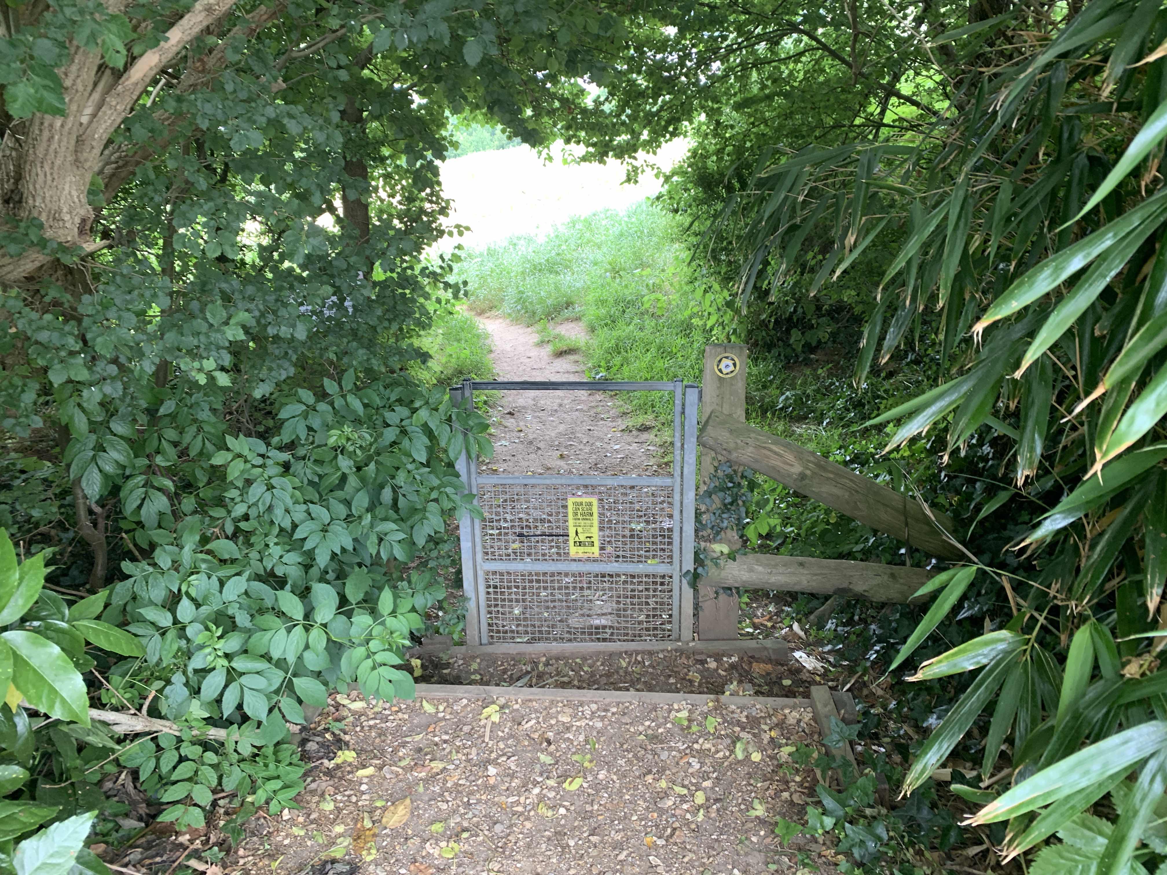Go through the gate and into the field