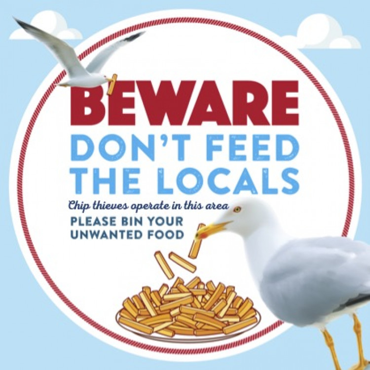Litter Free Dorset is bringing its 'Don't Feed the Seagulls' campaign back for the summer 