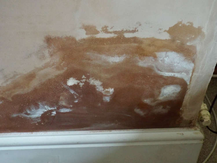 An example of the damp at an elderly person's George Street alms house in Hadleigh