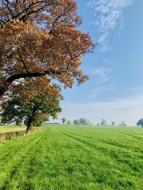 This Rawhead walk boasts beautiful views (and sheer drops!) as it climbs to the highest point on the Sandstone Trail