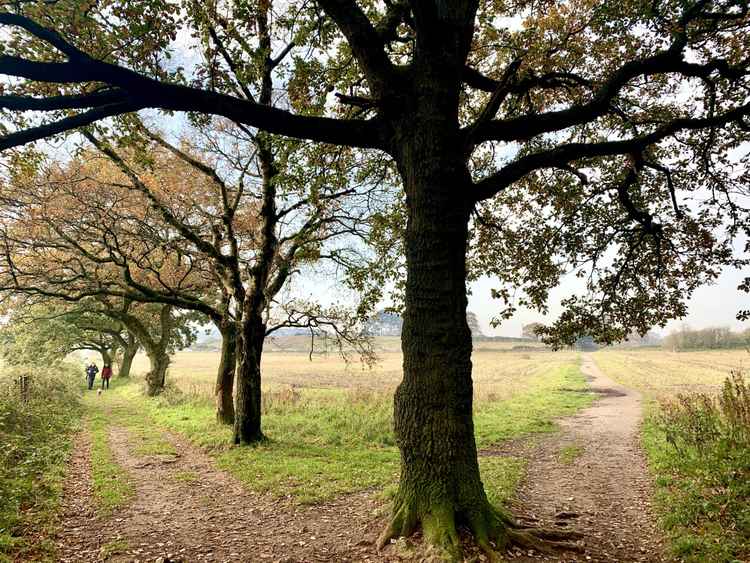 This Rawhead walk boasts beautiful views (and sheer drops!) as it climbs to the highest point on the Sandstone Trail