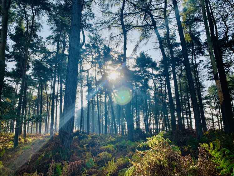 This Rawhead walk boasts beautiful views (and sheer drops!) as it climbs to the highest point on the Sandstone Trail