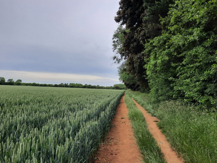 The walkway on the Oakham to Langham canal, where the droppings were found 