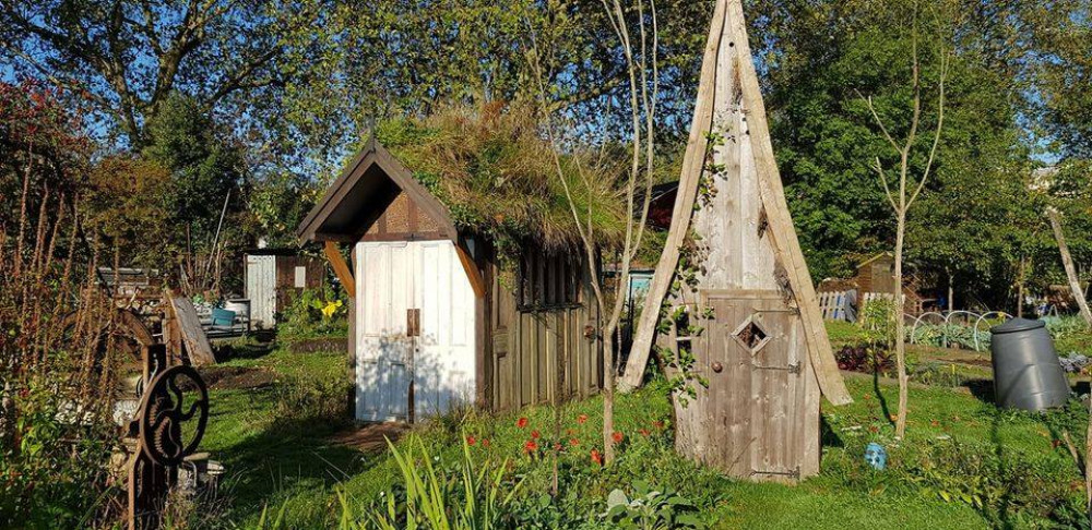 Northfield Allotment