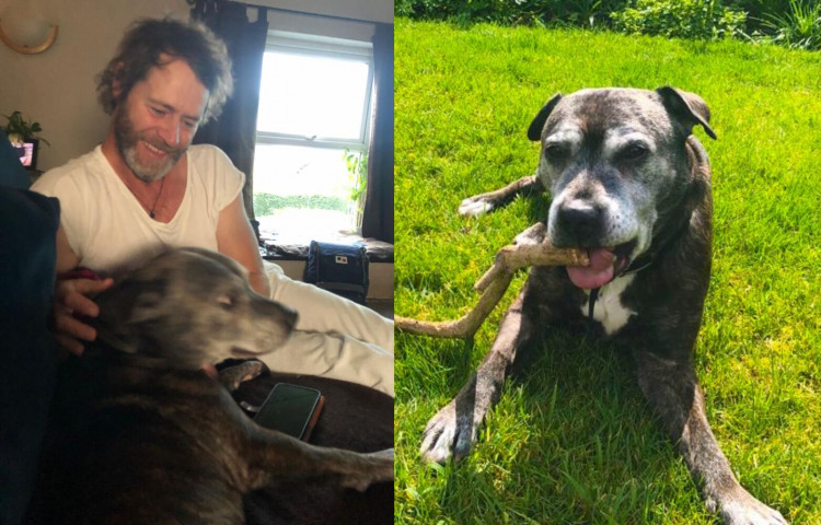 DONALD AND THE DOG: Howard Donald met Champ at his foster home near Macclesfield. (Image - RSPCA Macclesfield)