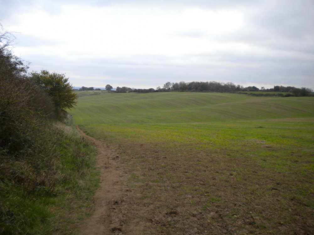 Hucknall’s Ashfield Independent District Councillors have submitted a formal objection to 100 houses being built on the Misk Hills. The eastern flank of Misk Hill west of Hucknall cc-by-sa/2.0 - © Richard Vince - geograph.org.uk/p/5603262.