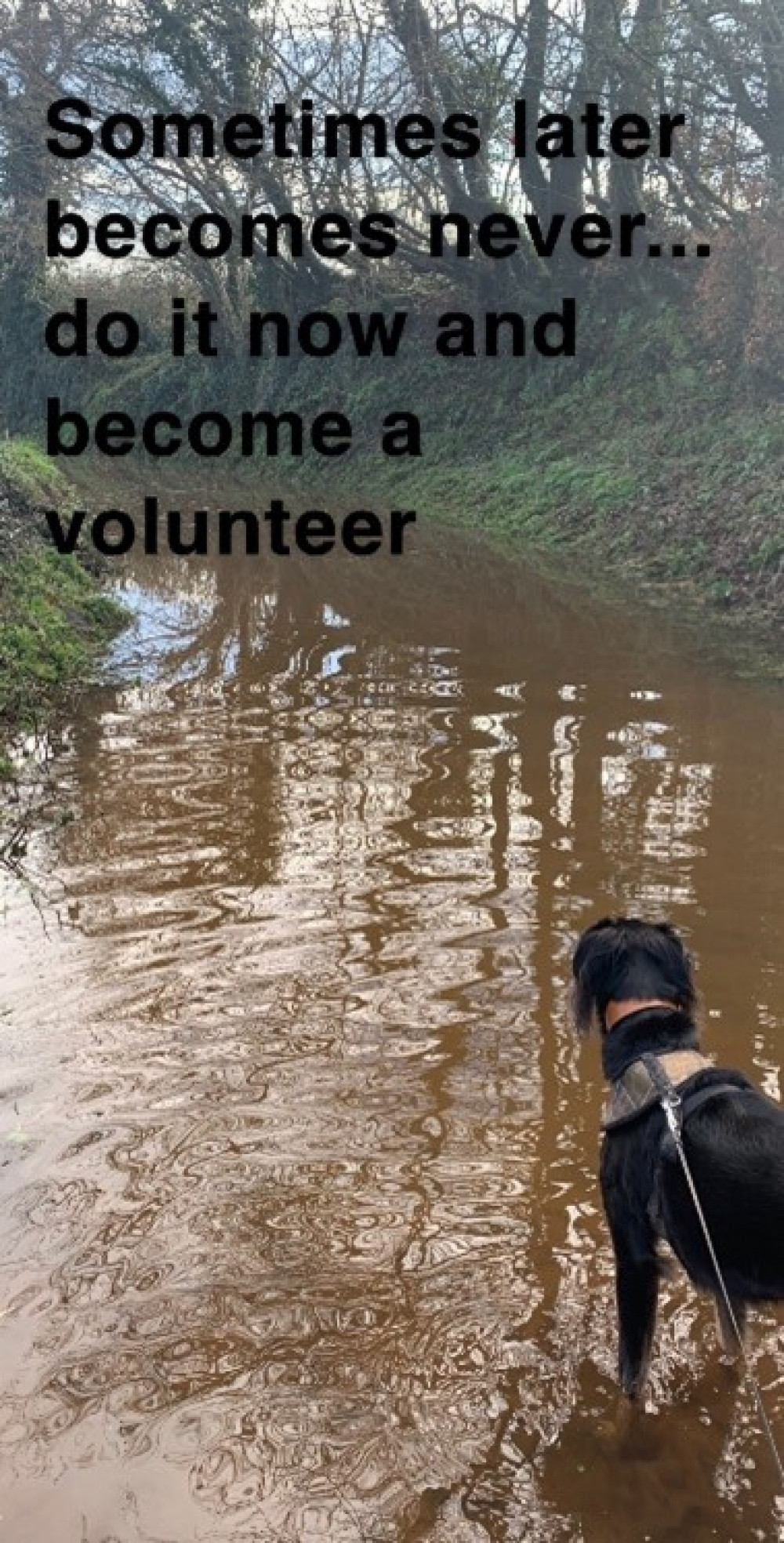 A new appeal for volunteers 