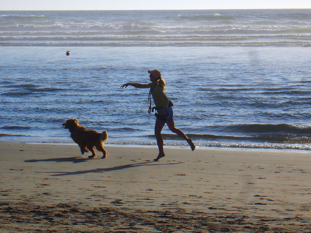 Beaches where dogs are welcome.