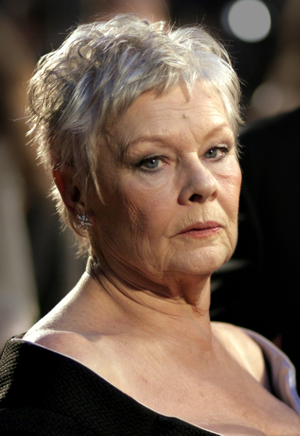 The Playhouse at The Questors Theatre was named after Dame Judi Dench in 2014