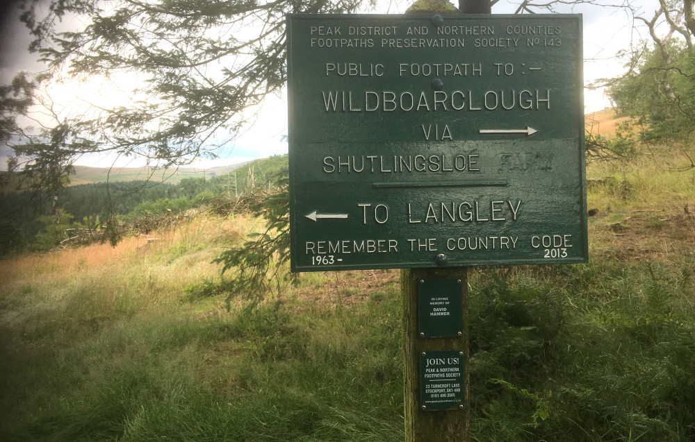 Imagine working in Macclesfield Forest! Well, you can thanks to this casual job, which is our Macclesfield Job of the Week. (Image - Alexander Greensmith / Macclesfield Nub News)