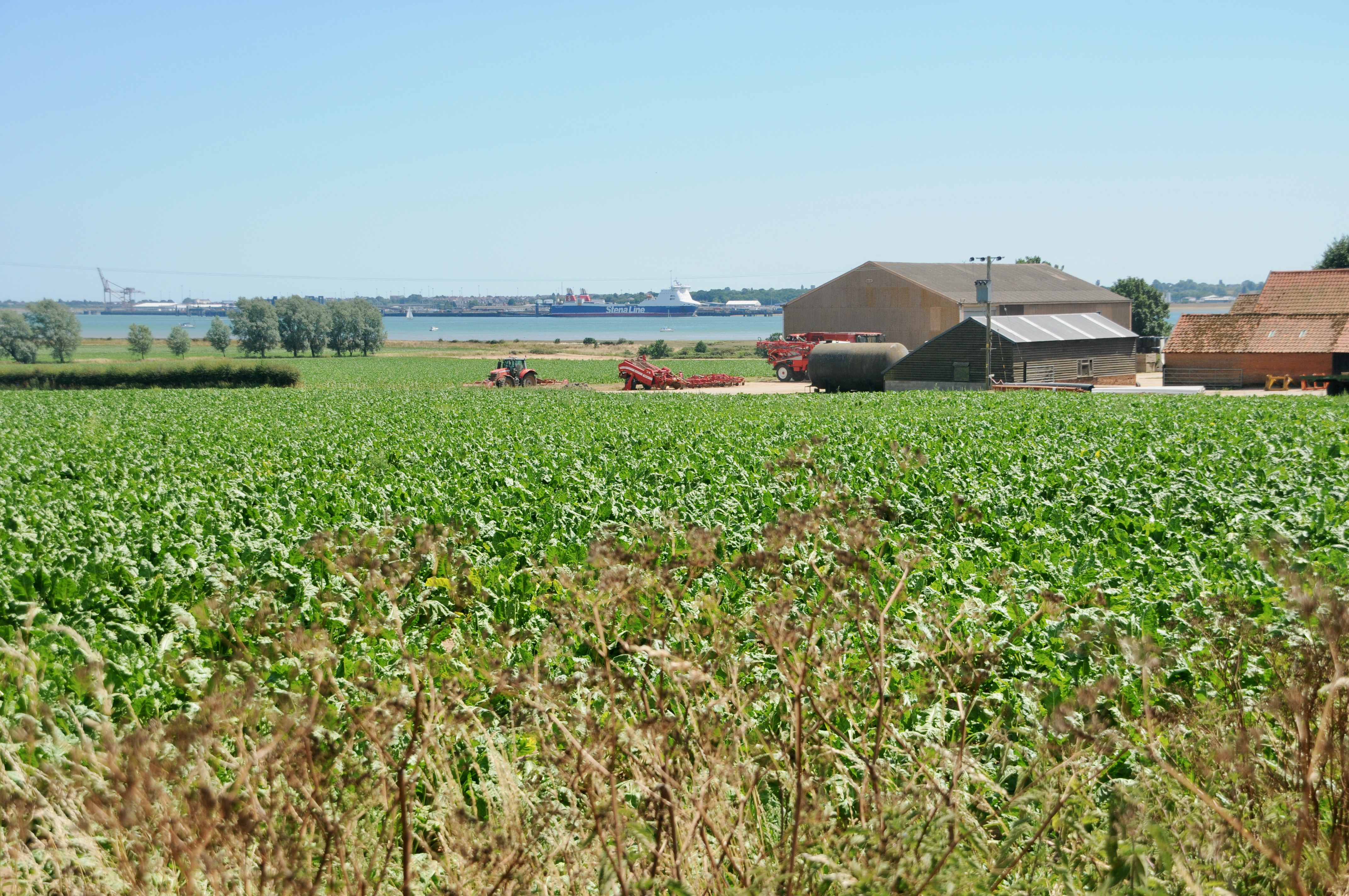 Ness Farm (Picture credit: Peninsula Nub News)