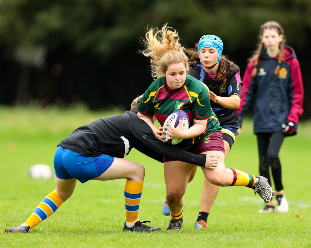 Wasps will host a free development camp on July 23 at Kenilworth Rugby Club (Image supplied)