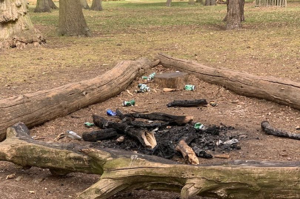 Fire damage at Bushy Park following an unauthorised bonfire (Image: The Royal Parks)