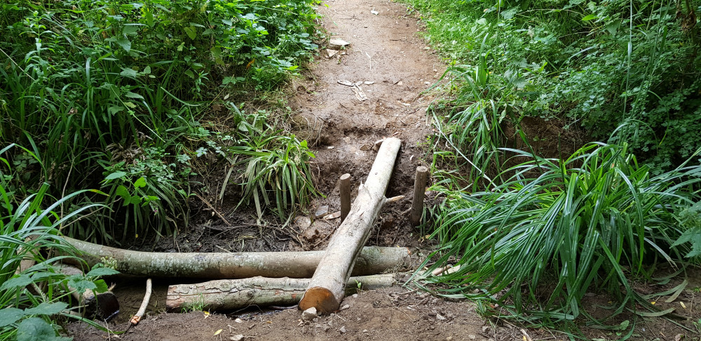 The bridges have been replaced with these logs, which Jill believes are a safety hazard (image courtesy of Jill Harris)