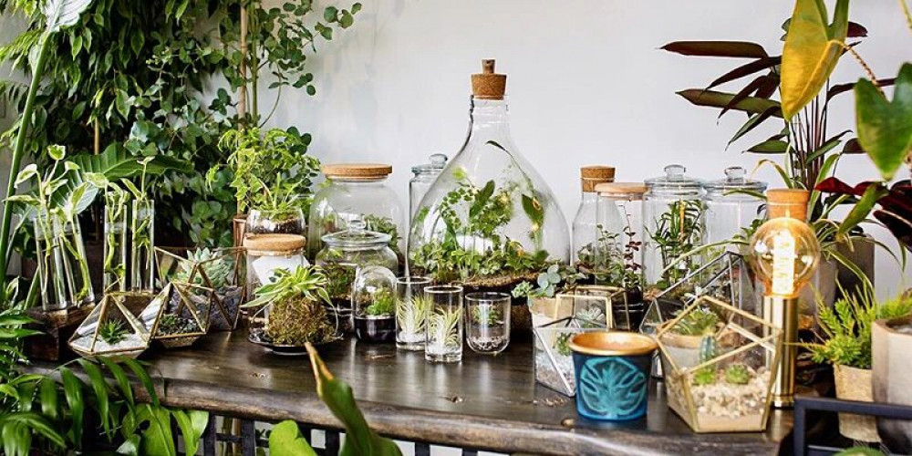 Terrarium Masterclass