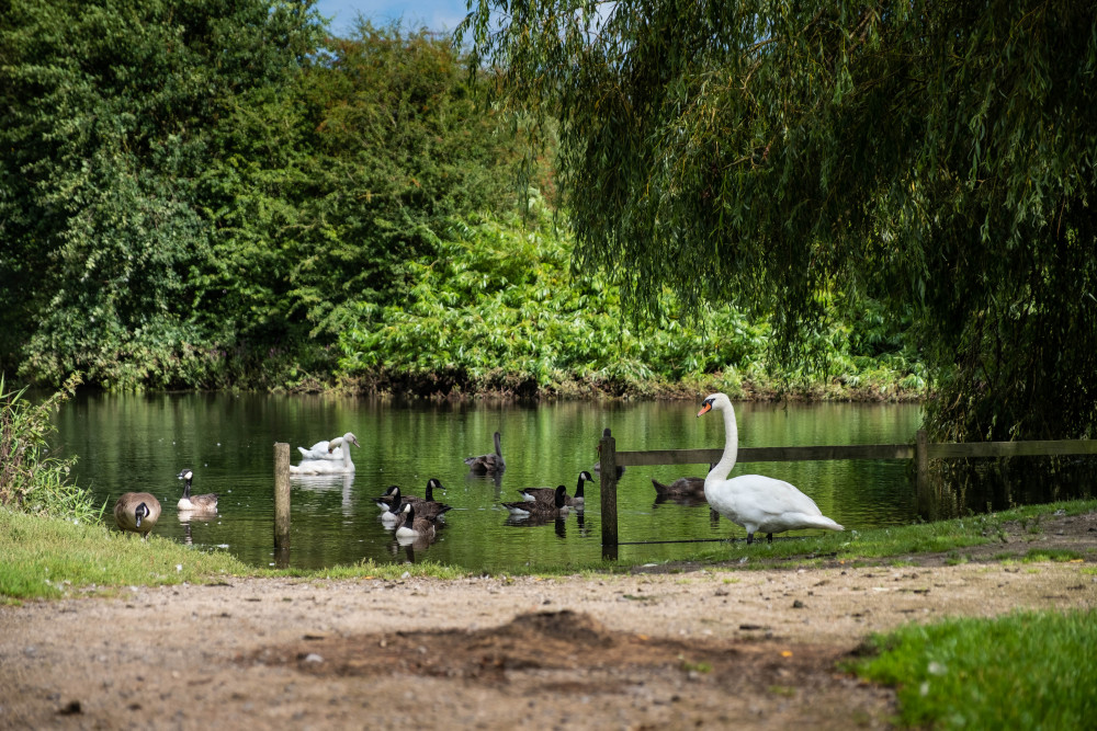 Voting for Fields in Trust's annual UK's Favourite Park competition opened last week (Image via Warwickshire County Council)