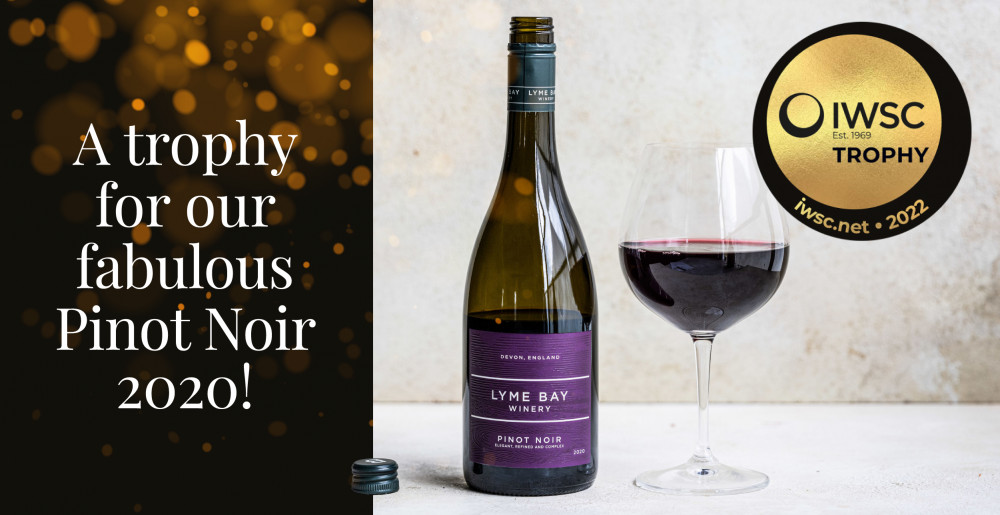 Lyme Bay Winery scooped the prize for its Pinot Noir