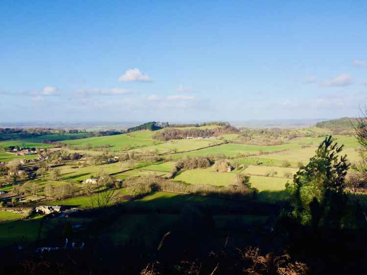 The views from Bickerton Hill
