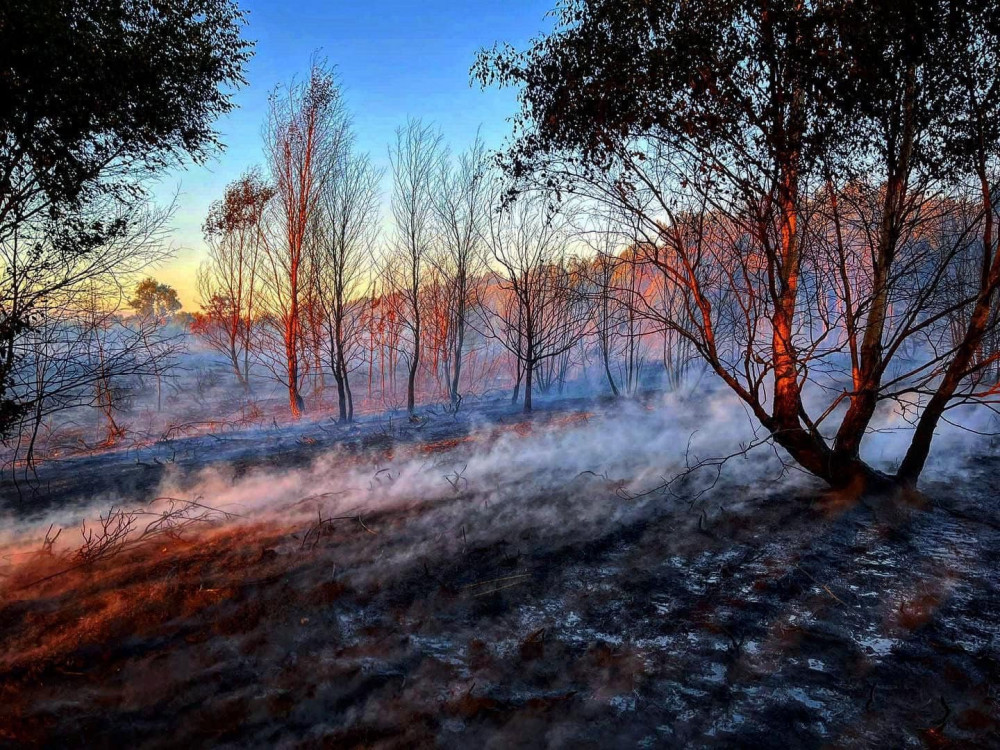 A crew of Hucknall firefighters assisted at the scene of a deliberate fire at Oak Tree Nature Reserve in Mansfield on Friday night. Photo courtesy of Nottinghamshire Fire and Rescue Service.