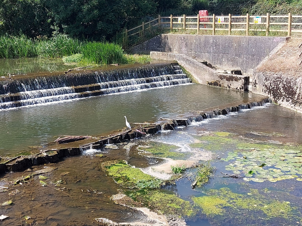 The river in Frome July 17 already looking low